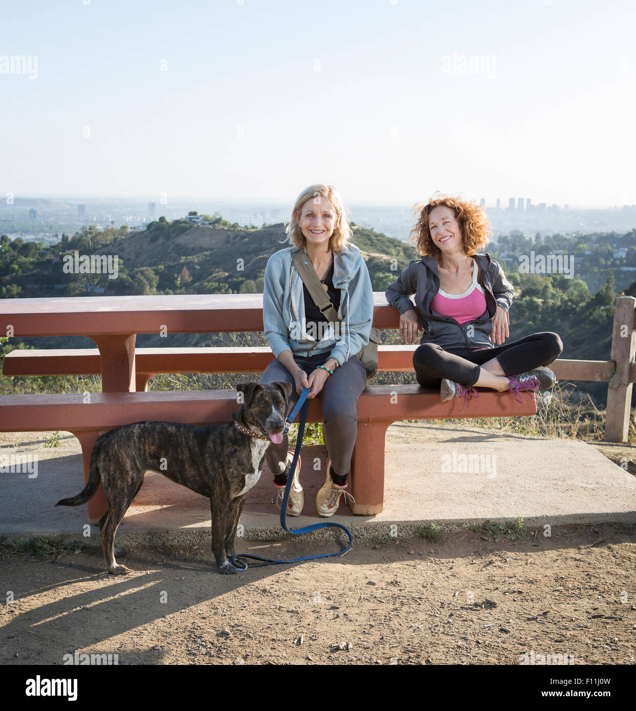 Donne caucasici udienza con il cane sulla collina Foto Stock