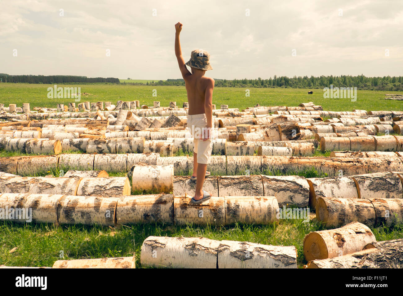 Mari boy in piedi su log in campo rurale Foto Stock