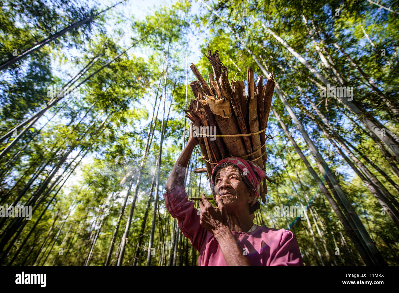 Basso angolo di visione dell uomo asiatico che trasportano stick bundle sul suo capo Foto Stock