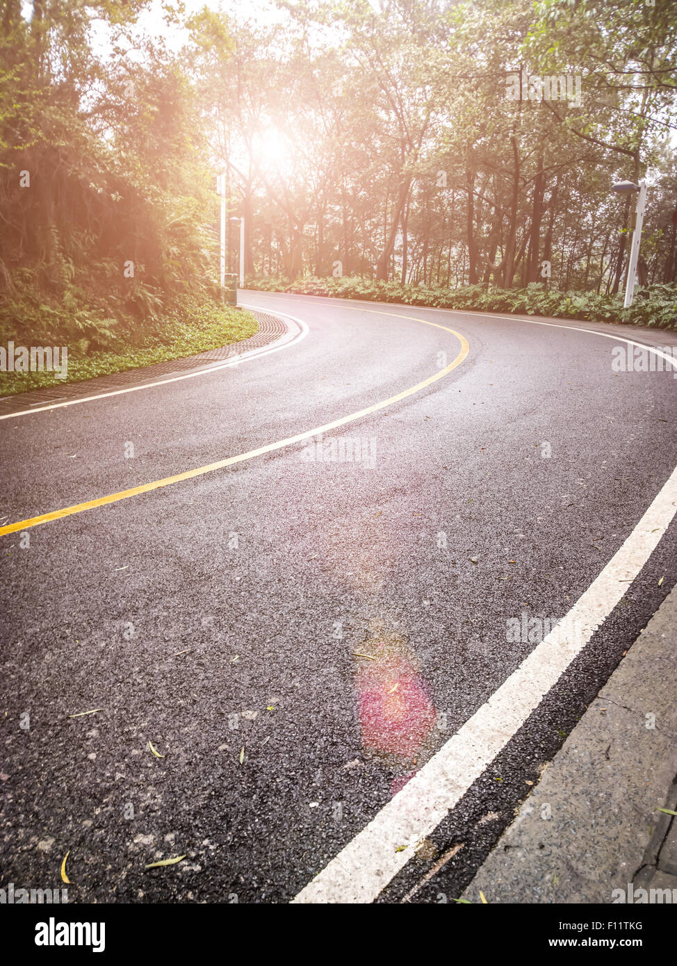 Sole sorge sulla strada curva con alberi su entrambi i lati Foto Stock