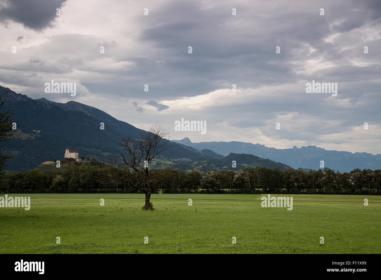 Terreni agricoli vicino a Balzers nel Liechtenstein Foto Stock