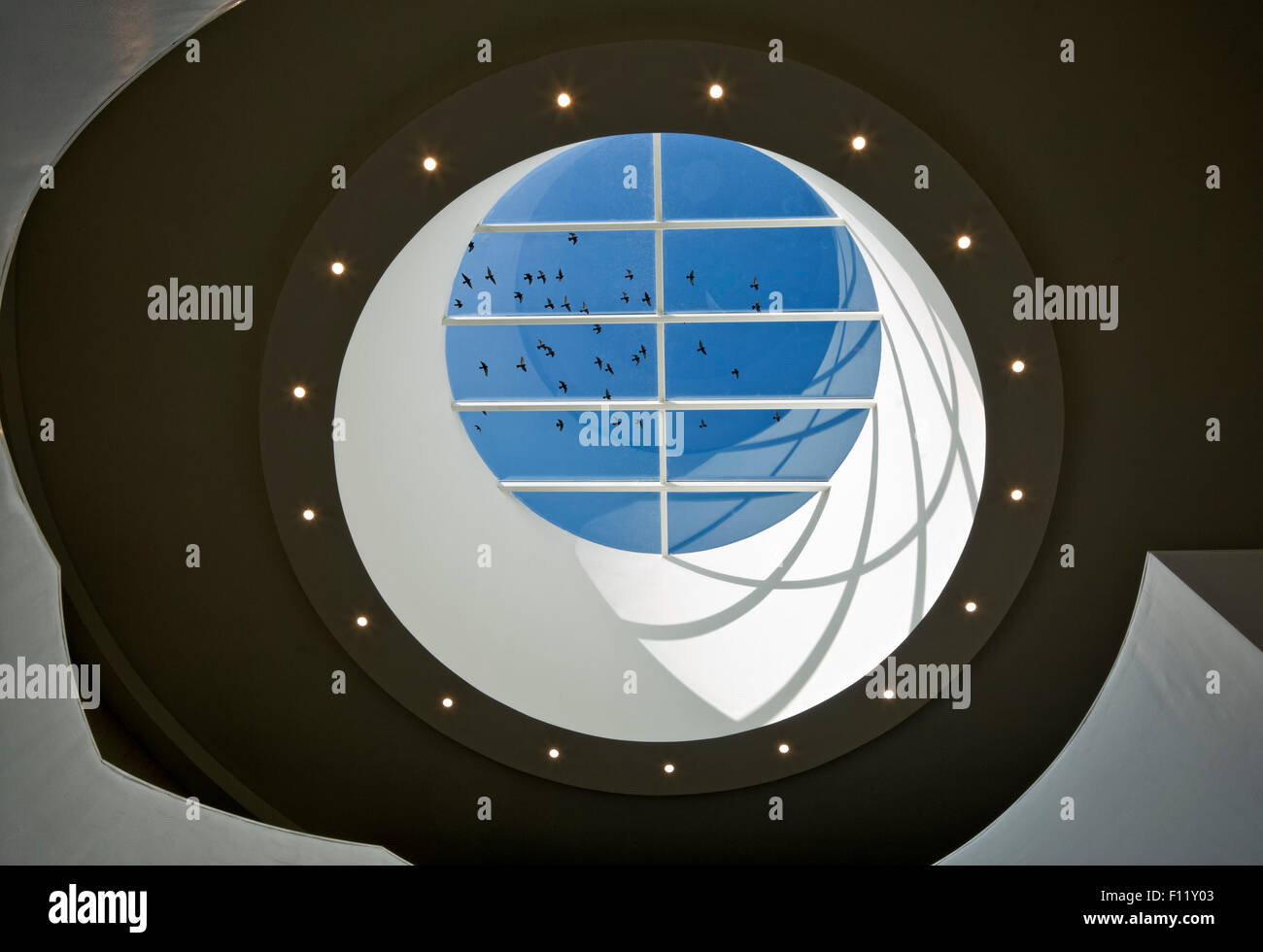 Lucernario con stormo di uccelli. Abbey Leisure Centre Barking, Barking, Regno Unito. Architetto: S & P Architetti, 2015. Foto Stock