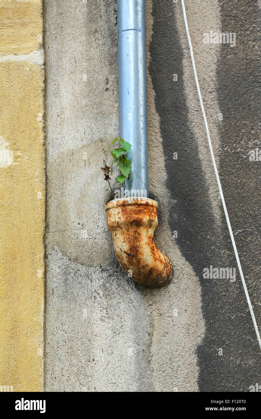 Rusty tubo di scarico su una parete umida Foto Stock