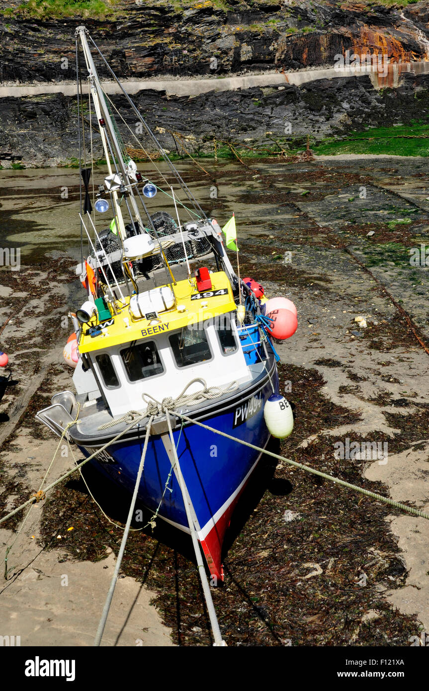 North Cornwall - Boscastle harbour - barca da pesca con la bassa marea - inclinato da un lato - testa sulla vista - angolo suggestivo - bright sun Foto Stock