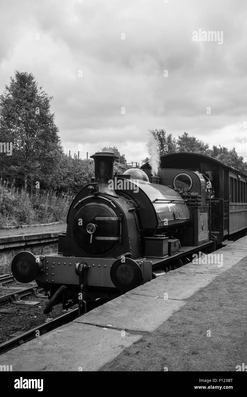 Treno a vapore e carrelli in corrispondenza della stazione, a Tanfield Railway, la più antica ferrovia in tutto il mondo. Foto Stock