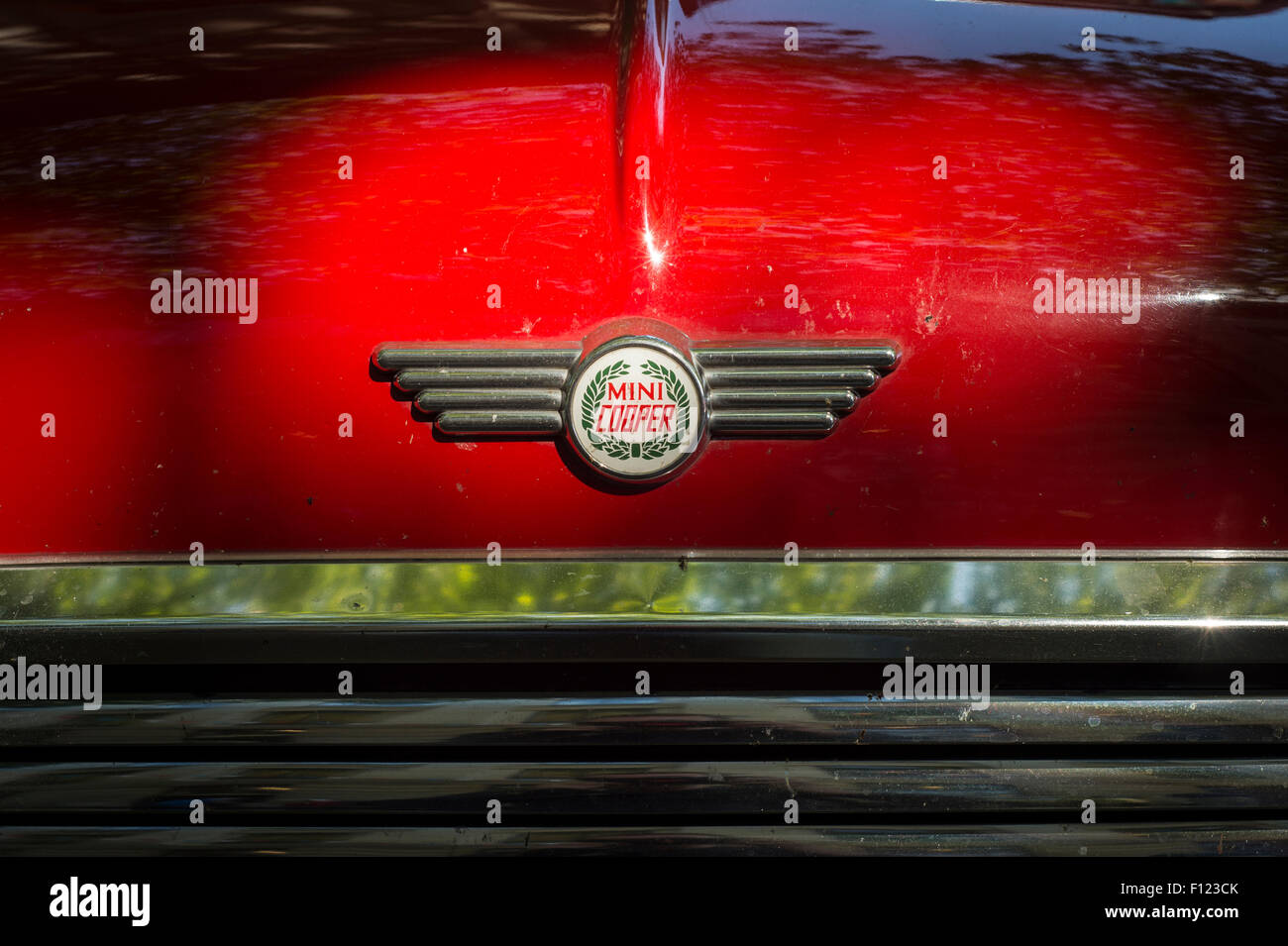 Mini Cooper badge sulla parte anteriore di un originale degli anni sessanta vintage mini auto. Foto Stock