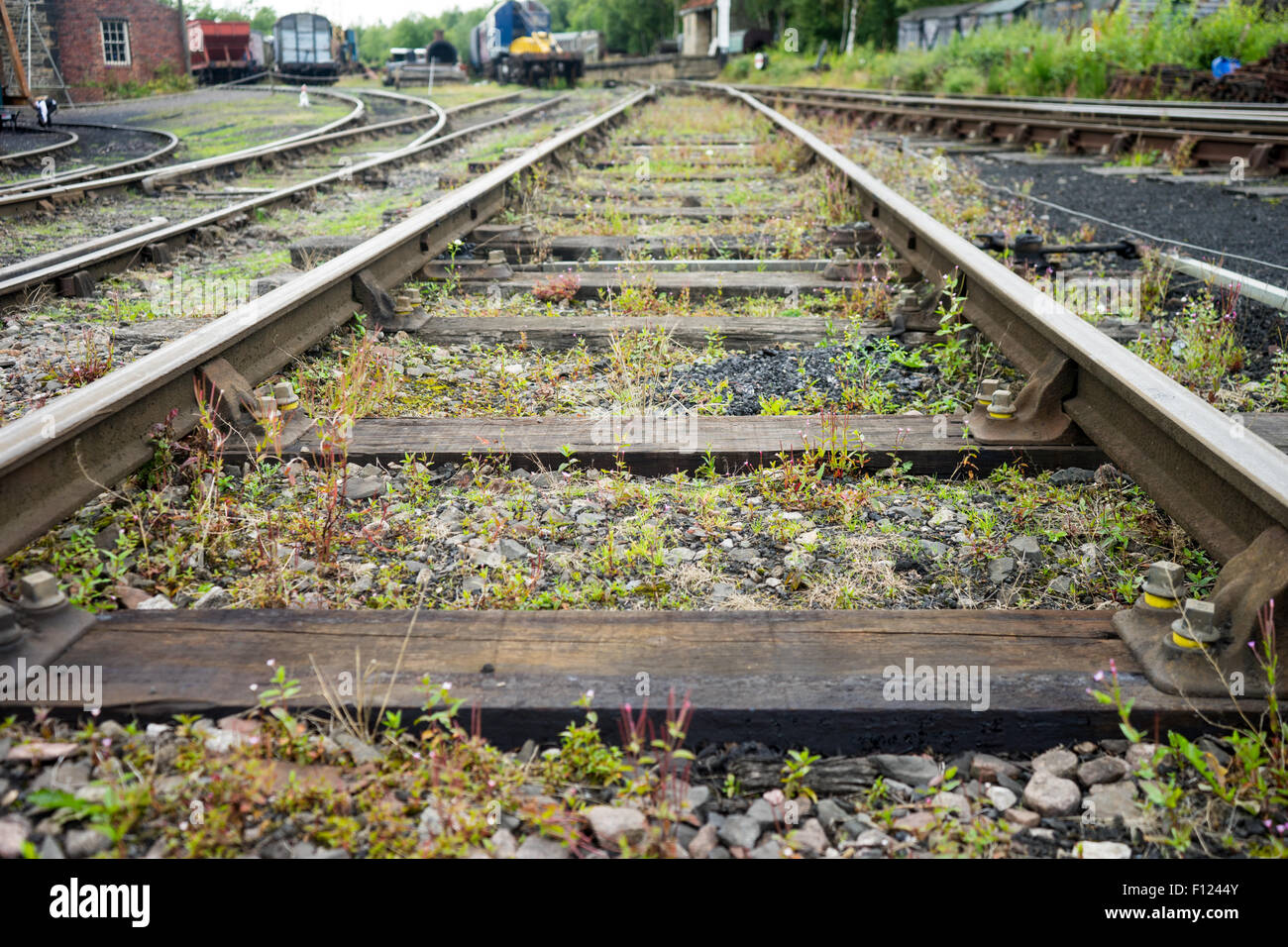 I binari ferroviari, aka, linee ferroviarie. Foto Stock