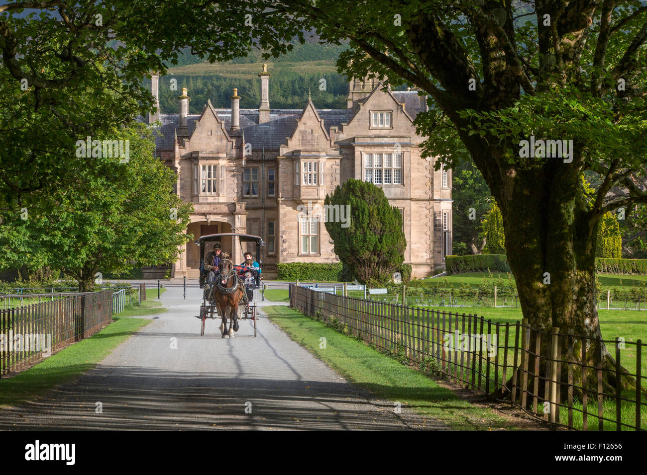 Jaunting auto su Muckross House Station Wagon vicino a Killarney, nella contea di Kerry, Irlanda Foto Stock