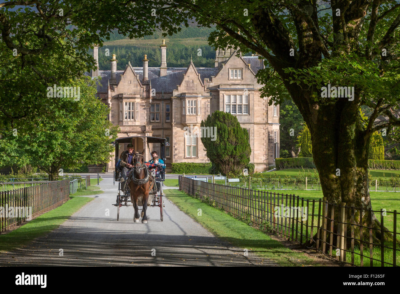Jaunting auto su Muckross House Station Wagon vicino a Killarney, nella contea di Kerry, Irlanda Foto Stock