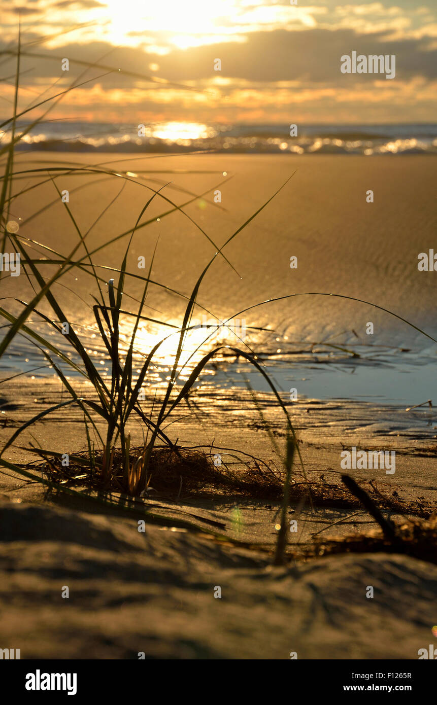 Sunrise a Waukegan Spiaggia municipale, Waukegan, Illinois Foto Stock