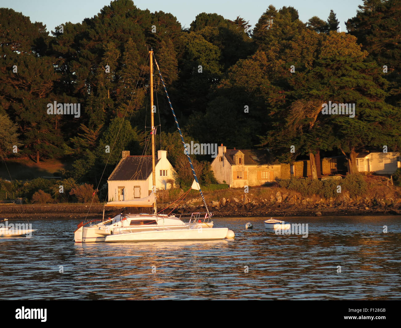 Golfo di Morbihan: barche ormeggiato a Île-ingresso aux Moines Foto Stock