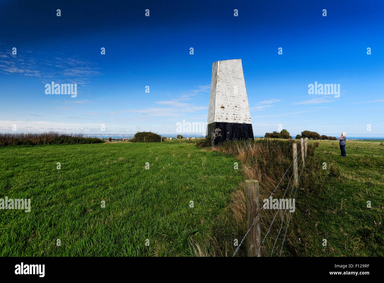 Passeggiate per l'Ashey giù marchio Mare e chalk ridge sull isola di Wight, dove potete ammirare vedute mozzafiato di tutta l'isola di Solent Foto Stock