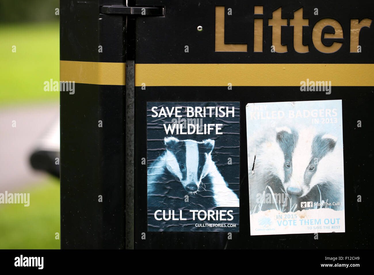 Un poster di protesta di supporto Wildflife britannico in relazione alla Badger cull nel sud ovest dell'Inghilterra. Questo è legato alla diffusione della BTB a bestiame. Foto Stock