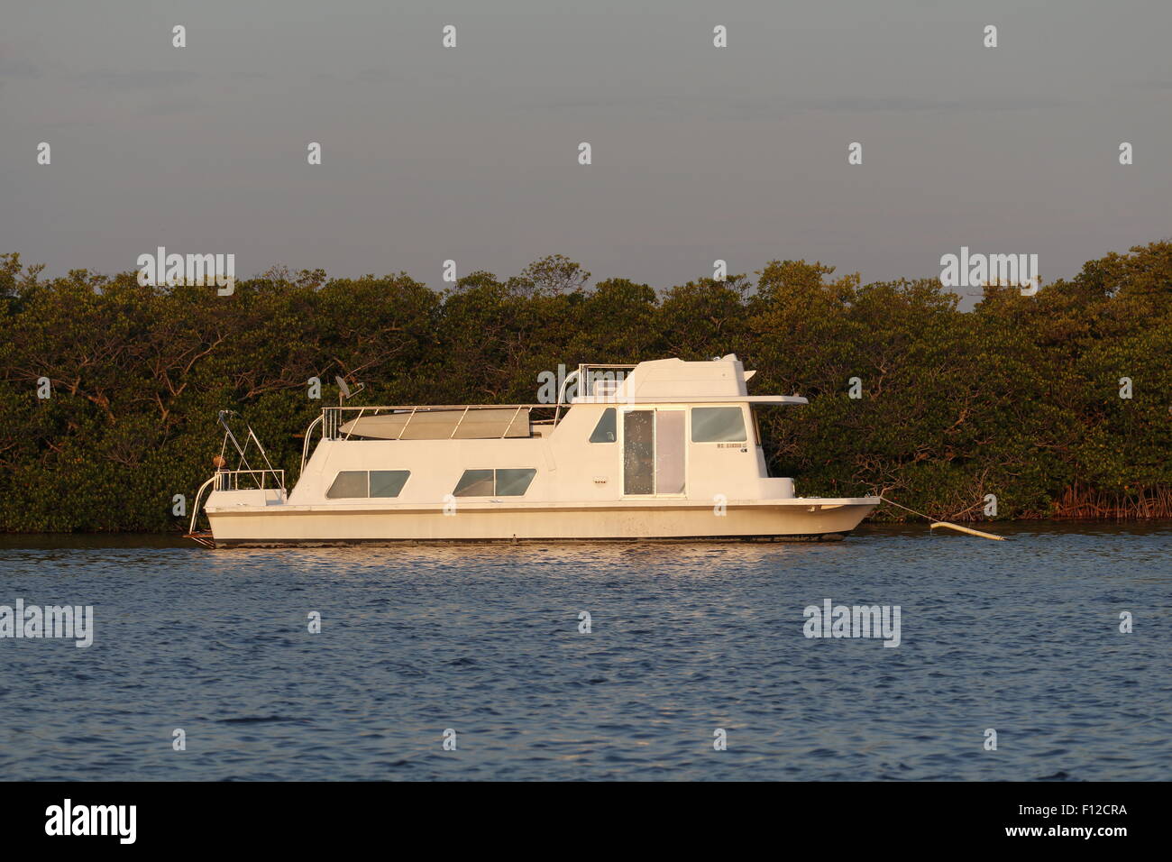 Una casa galleggiante è ancorato in una piccola baia protetta da Red mangrovie. Florida Keys Foto Stock