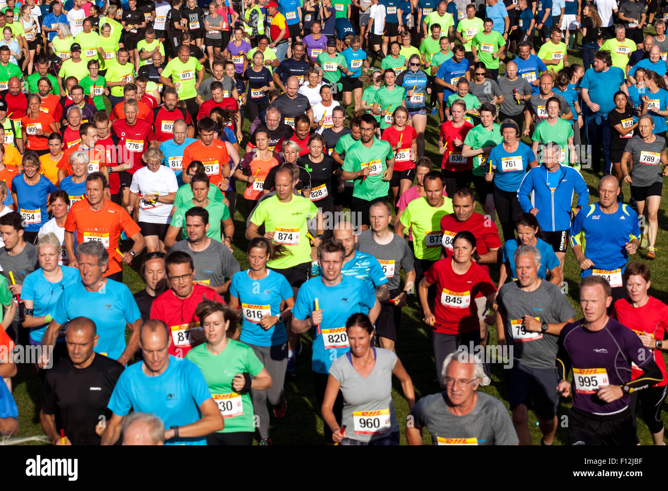 Copenhagen, Danimarca, Agosto 25th, 2015. Il segnale di partenza ha suonato nel relè di DHL nel Rally Ciopenhagen guide e inizia il loro 5 km Stadio prima di consegnare il testimone alla prossima runner nel loro team di 5. Credito: OJPHOTOS/Alamy Live News Foto Stock