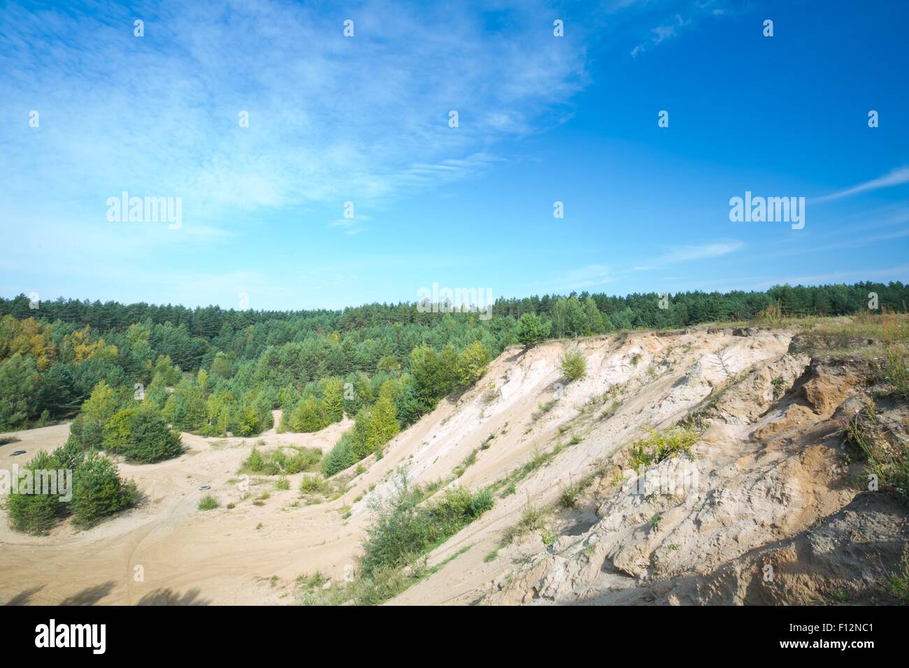 Sandhills e foresta di pini sotto il cielo blu. Paesaggio rurale Foto Stock