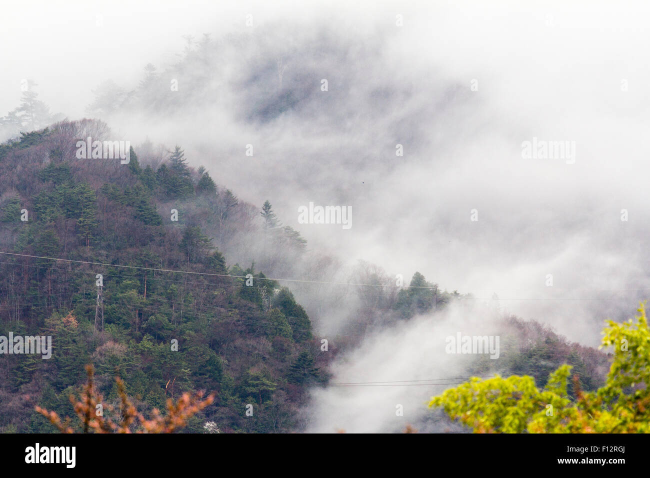 Tsumago, Giappone. Il maltempo. Teleobiettivo con vista delle montagne boscose con il grigio wispy deriva nuvole sopra e attraverso gli alberi. Foto Stock