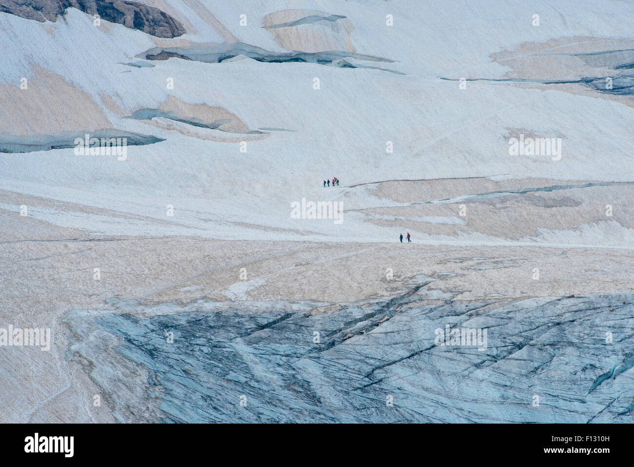 La gente che camminava sul ghiacciaio, Ghiacciaio della Marmolada, Ghiacciaio della Marmolada, Marmolada, Dolomiti Trentino Provincia Foto Stock