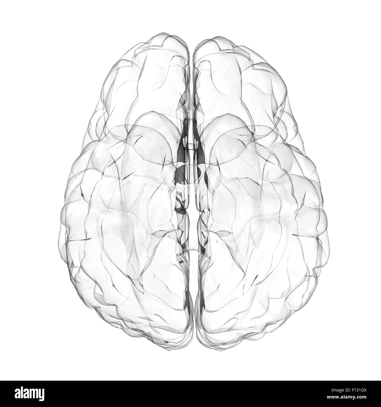 3d cervello umano effetto vetro su sfondo bianco Foto Stock