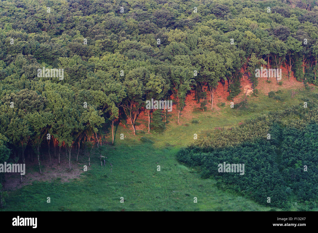 Il bordo della foresta del Bükk national park. Questo è il punto in cui più di 430 km2 di colline coperte di boschi e montagne iniziare. Foto Stock