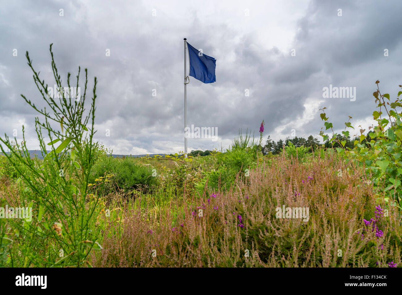 Flag che indica frontline dell'esercito Giacobita sulla brughiera a Culloden Moor ex battlefield in Highland, Scozia Foto Stock