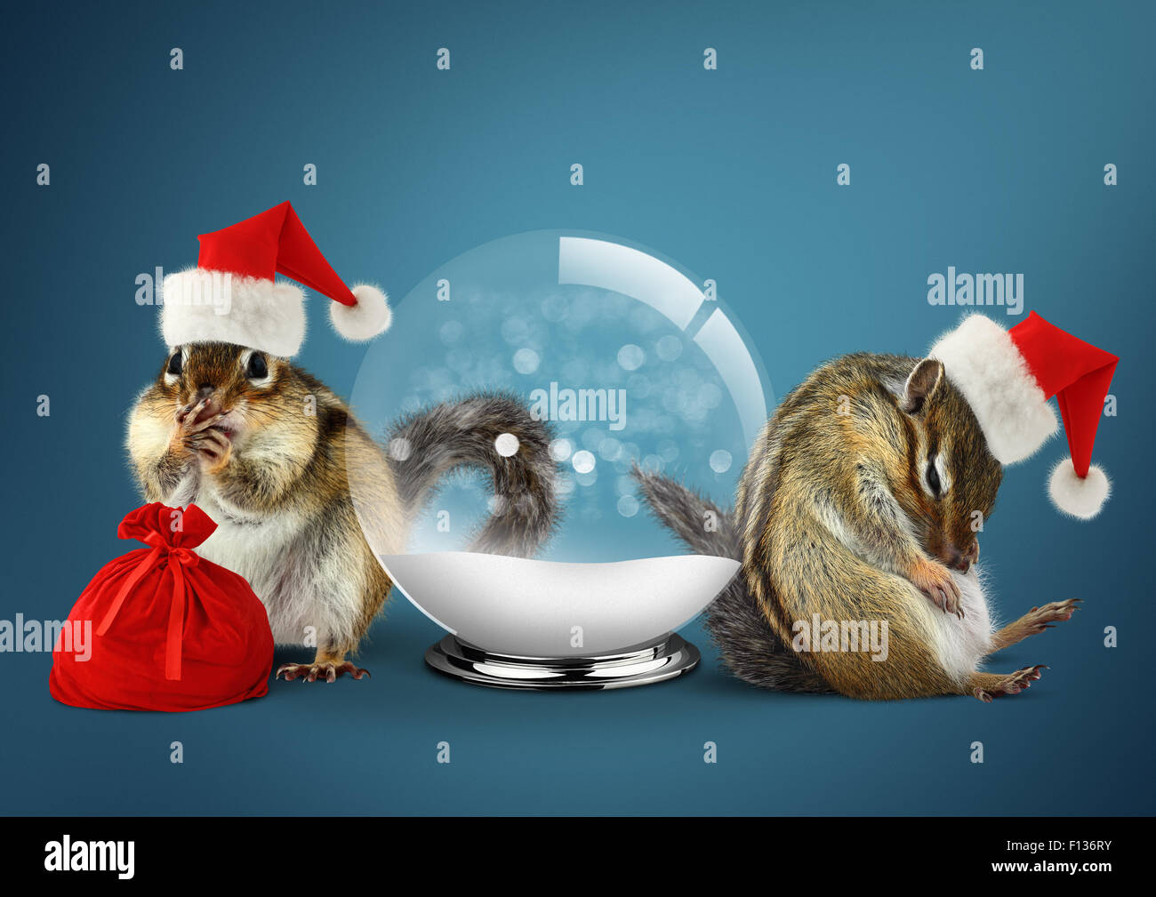 Funny animals chipmunks dress santa hat con palla di neve, concetto di natale Foto Stock