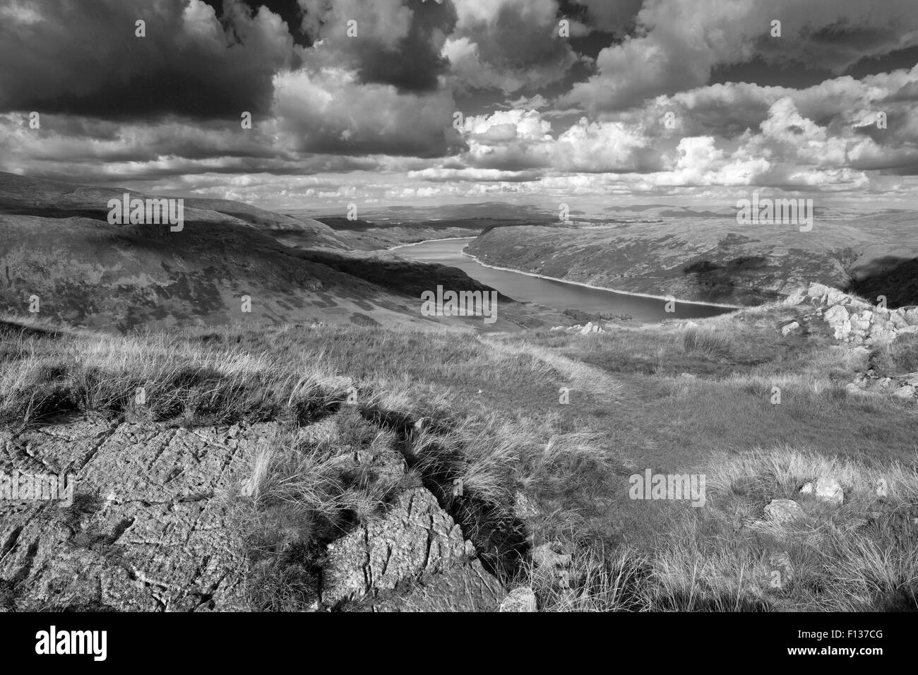 Summer View su Scafell serbatoio, Parco Nazionale del Distretto dei Laghi, Cumbria, England, Regno Unito Foto Stock