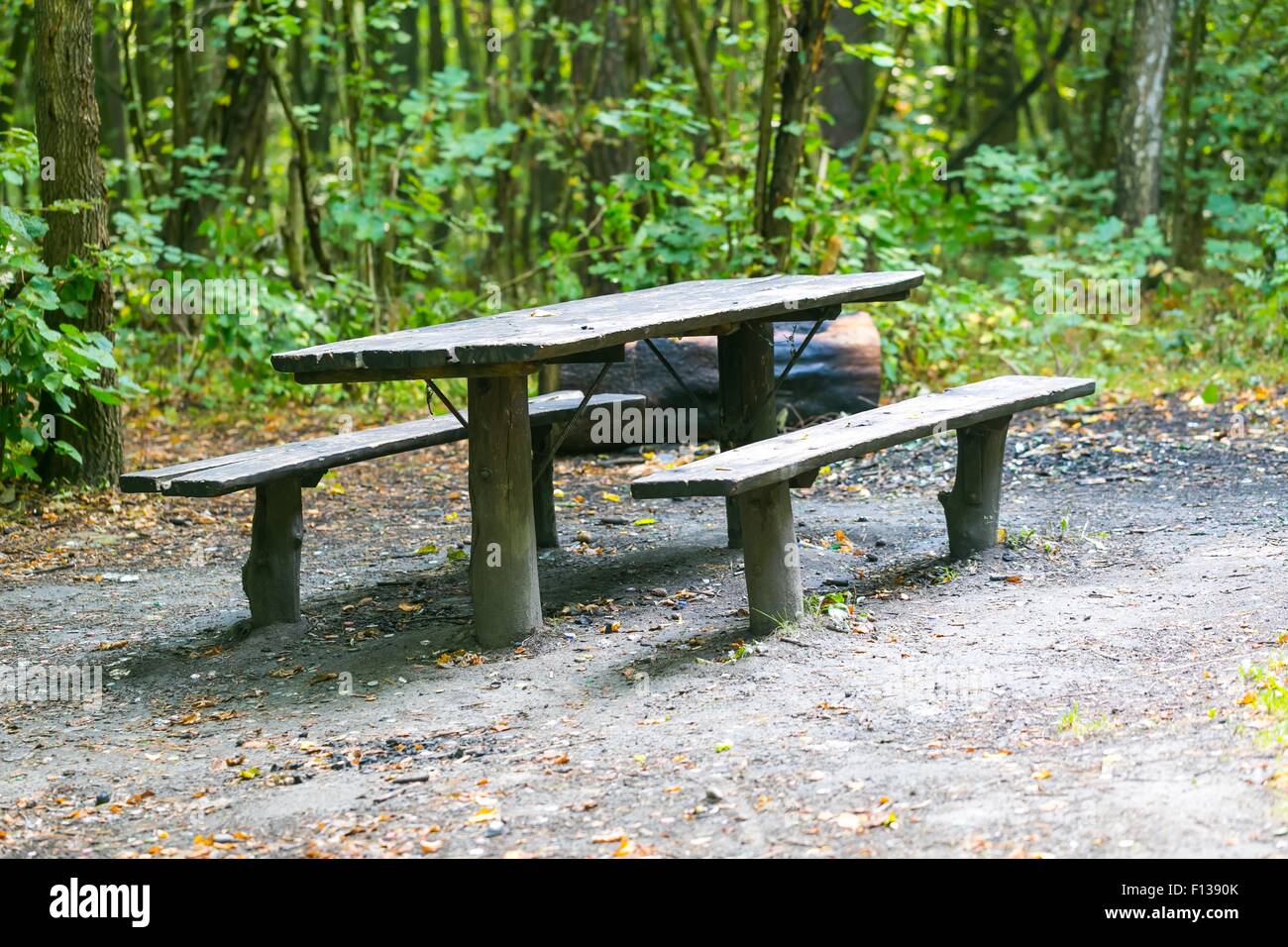 Panca e tavolo in foresta. Il luogo di riposo per i turisti. Verde naturale paesaggio forestale. Foto Stock