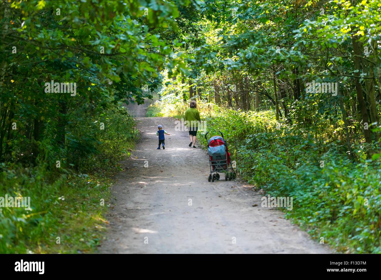 Little Boy correre e giocare nella foresta in estate. Bella estate paesaggio forestale con un piccolo ragazzo. Foto Stock