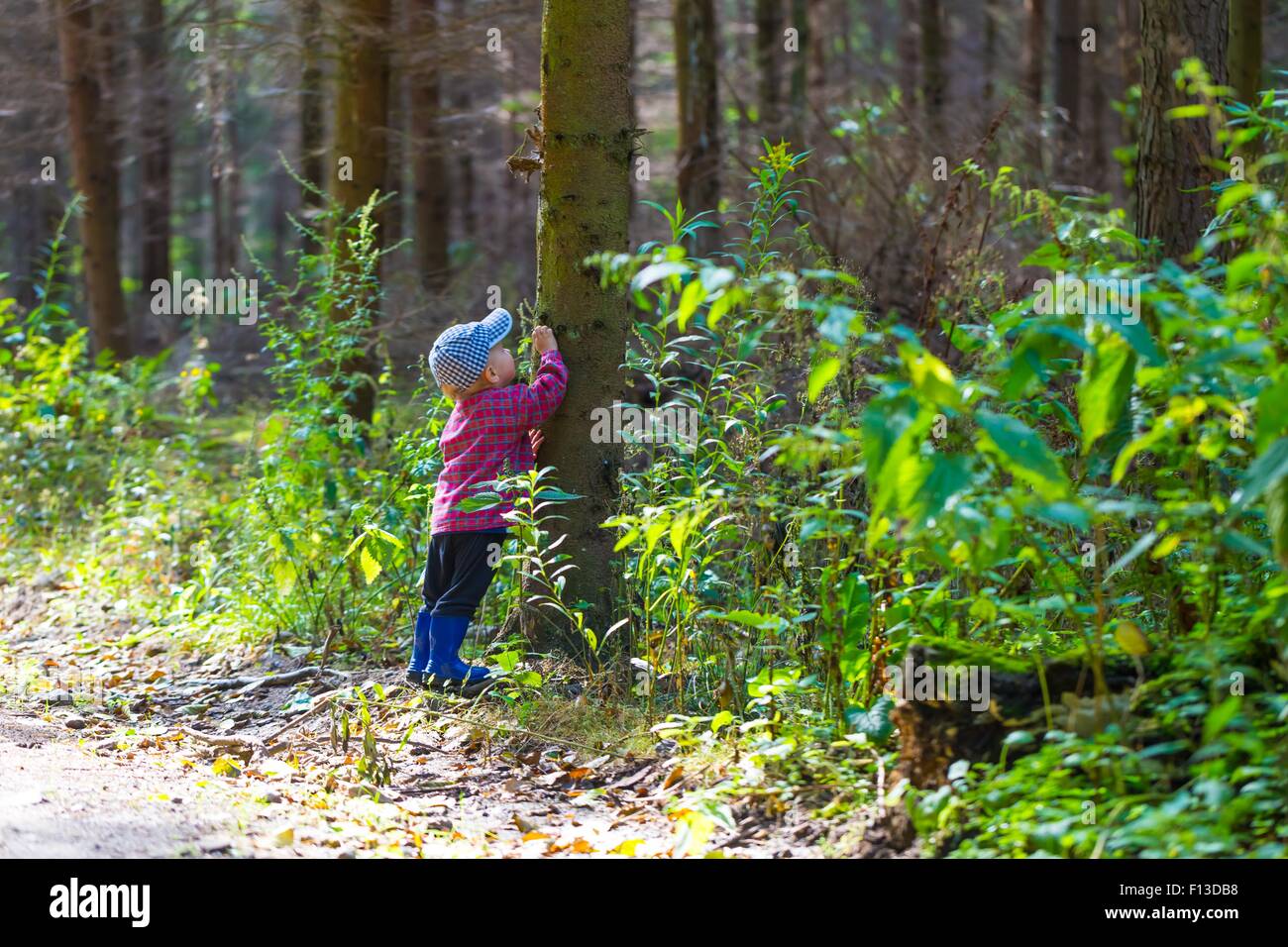 Little Boy correre e giocare nella foresta in estate. Bella estate paesaggio forestale con un piccolo ragazzo. Foto Stock