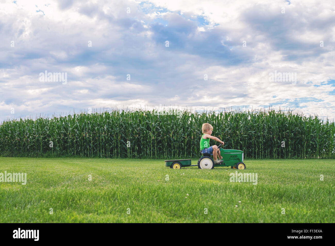 Ragazzo passato la guida campo di mais su un trattore giocattolo Foto Stock