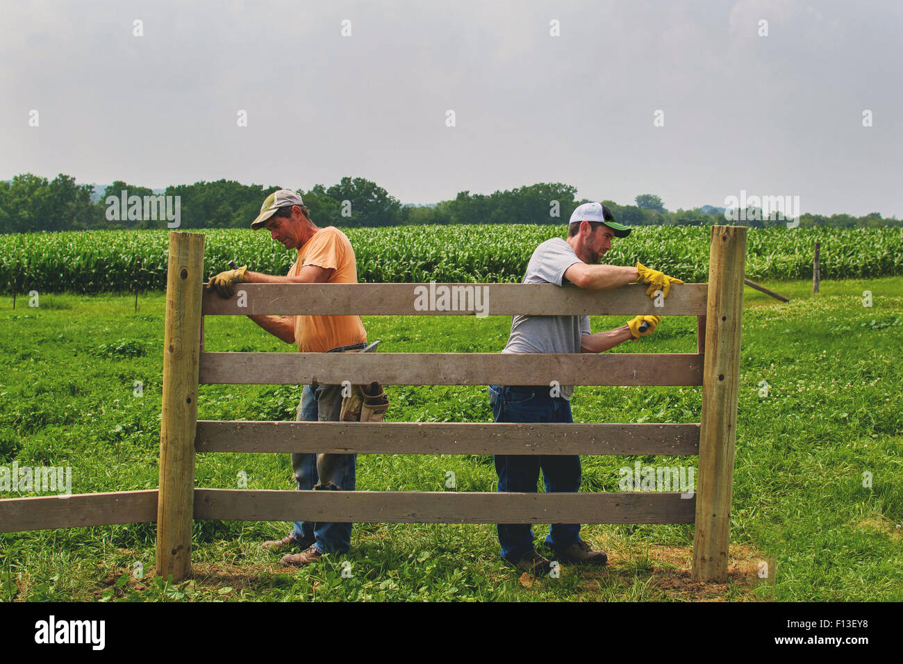 Due uomini la costruzione di una recinzione di legno su una fattoria Foto Stock