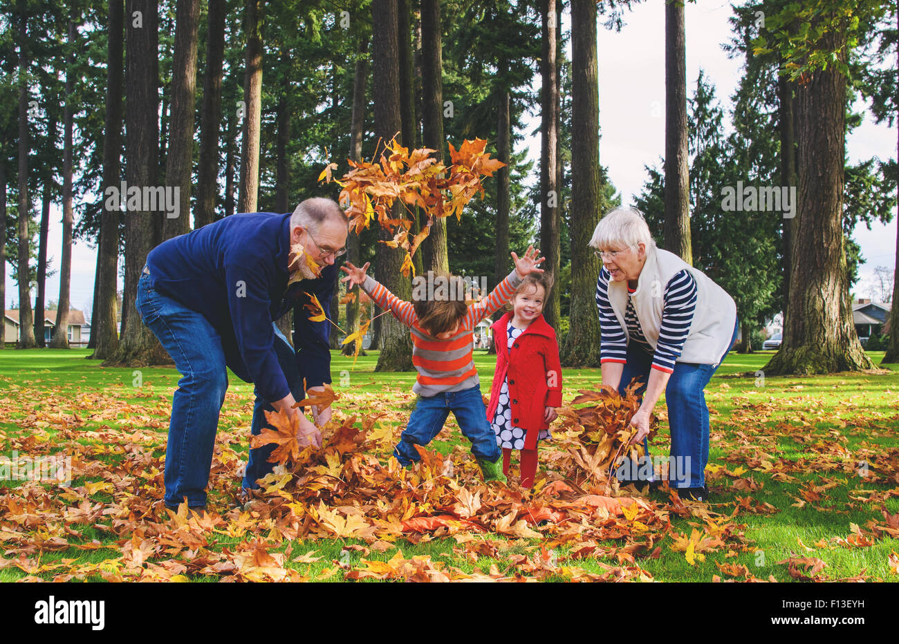 Ragazzo e una ragazza con i loro nonni, giocando con foglie di autunno Foto Stock