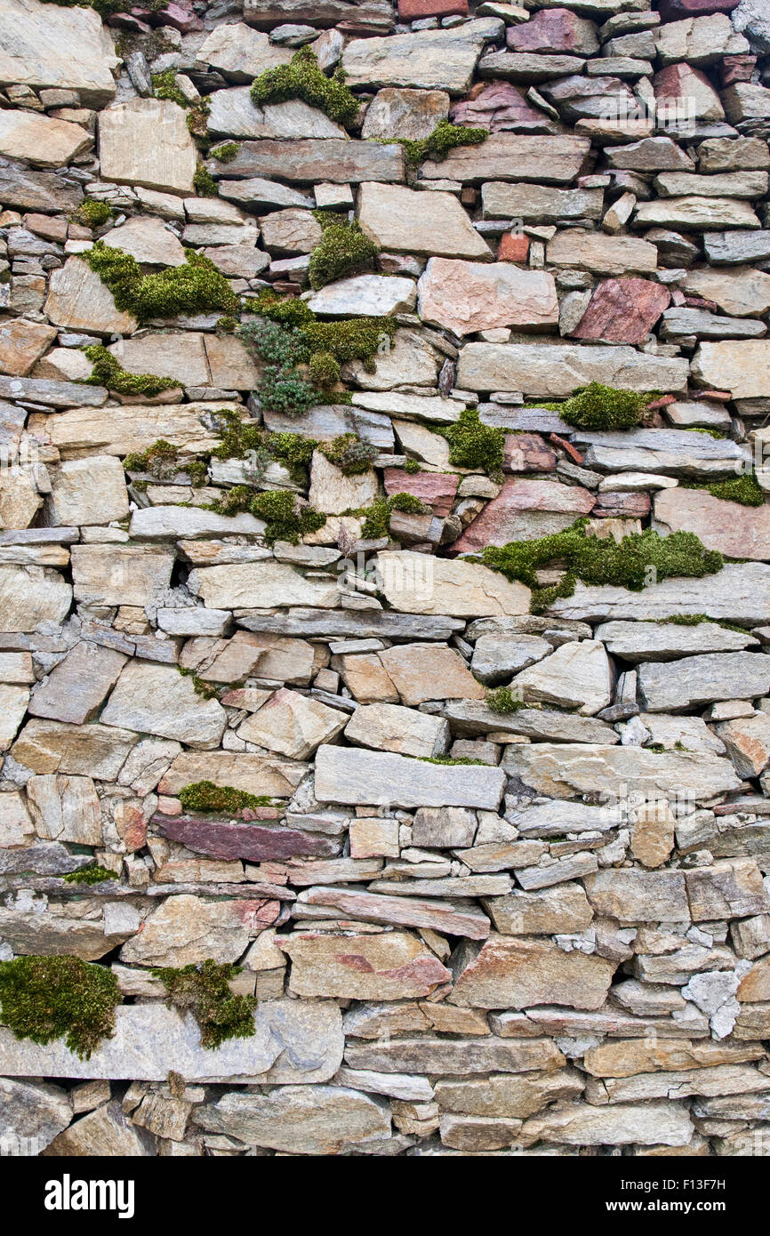 Muro di pietra con piante, sfondo, tessitura Foto Stock