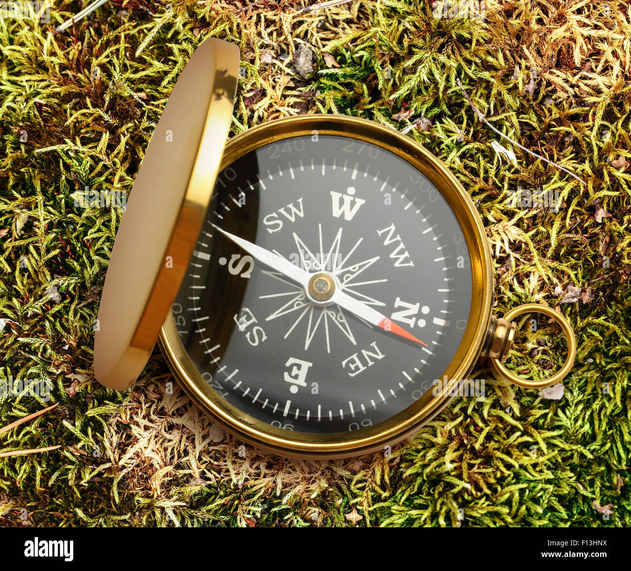 Golden Compass vintage aperto su sfondo moss Foto Stock