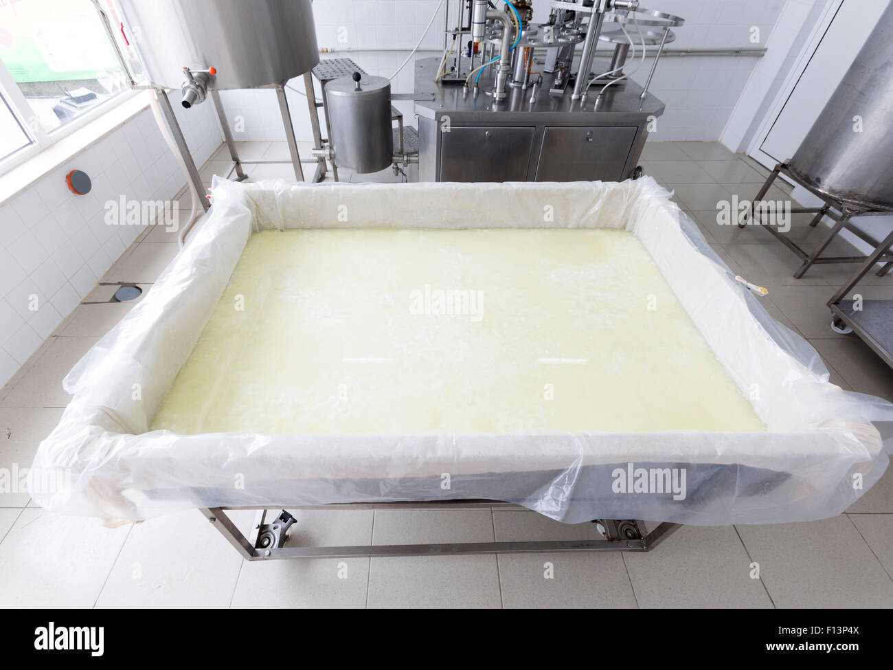 Un bufalo partita di formaggio in un serbatoio in un piccolo caseificio di famiglia. Il caseificio è specializzata in buffalo yogurt e formaggio prodotto Foto Stock