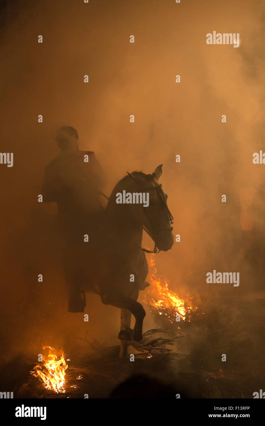 L'uomo saltare attraverso il fuoco per purificare il suo cavallo durante il festival Luminarias, tenuto ogni Gennaio in San Bartolome de Pinares, provincia di Avila, Castiglia e Leon, Spagna, Gennaio 2014. Foto Stock