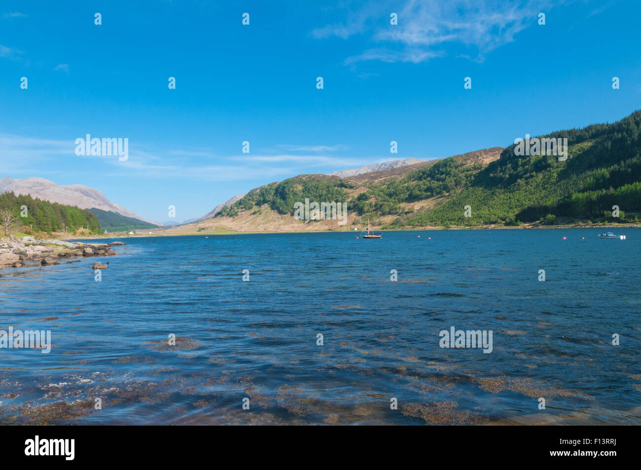 Loch Sunart nr Strontian Highland Scozia Scotland Foto Stock