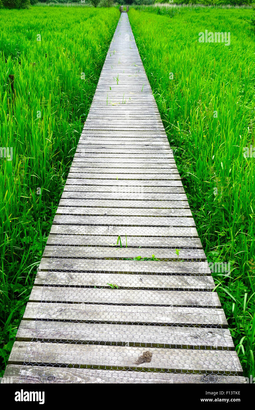 Il Boardwalk attraverso Threave & Carlingwark Loch siti di particolare interesse scientifico, Castle Douglas, Dumfries & Galloway, Scozia Foto Stock