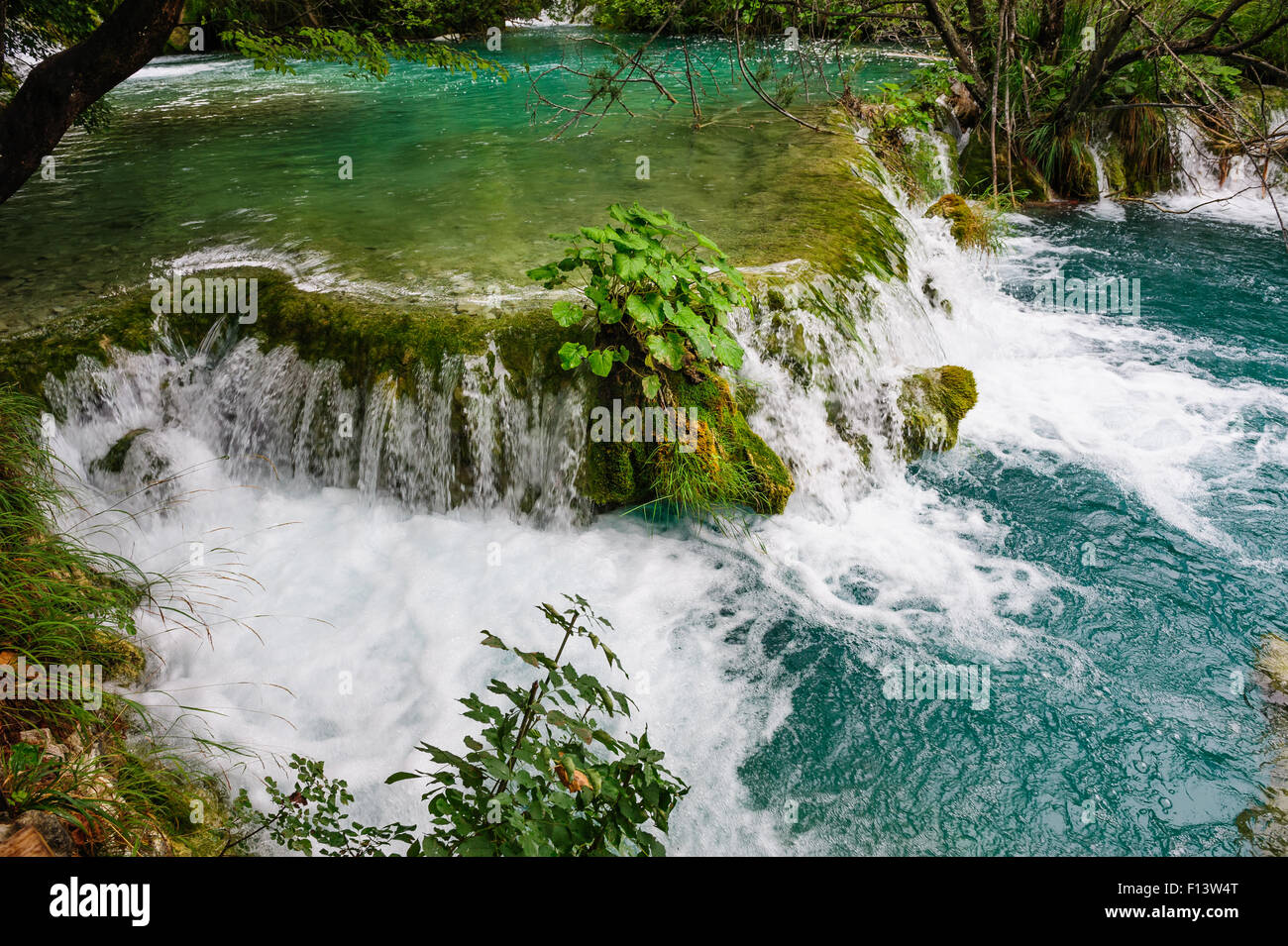 Cascate del Parco Nazionale dei Laghi di Plitvice, Croazia Foto Stock