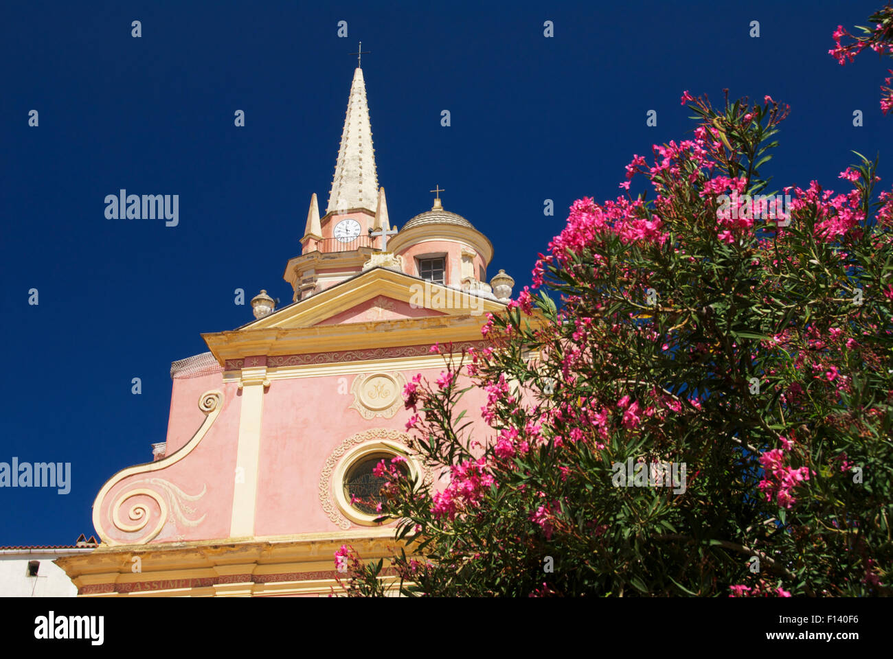 Calvi Église Sainte-Marie de Calvi Foto Stock