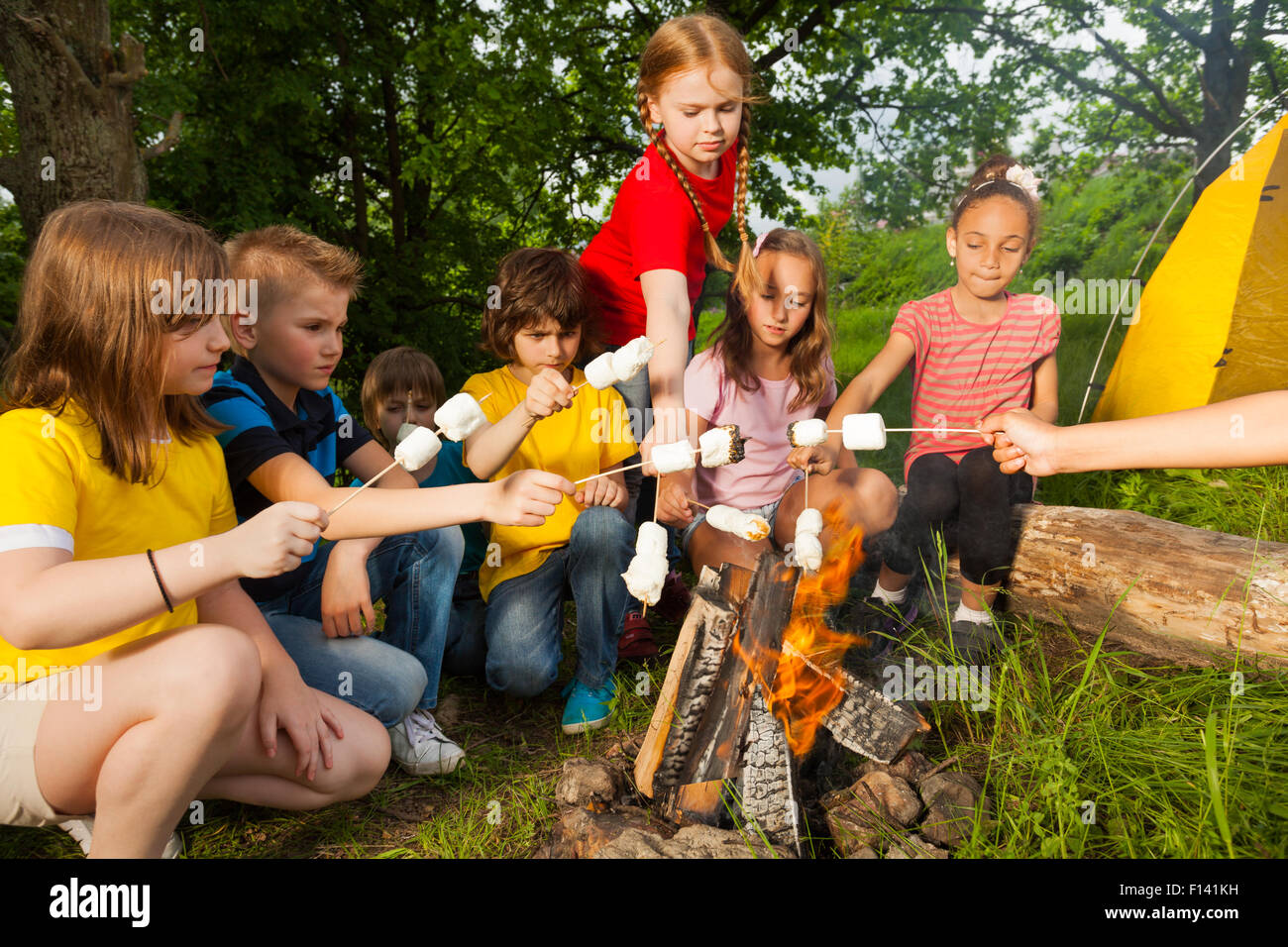 I bambini seduti vicino al falò con marshmallow Foto Stock