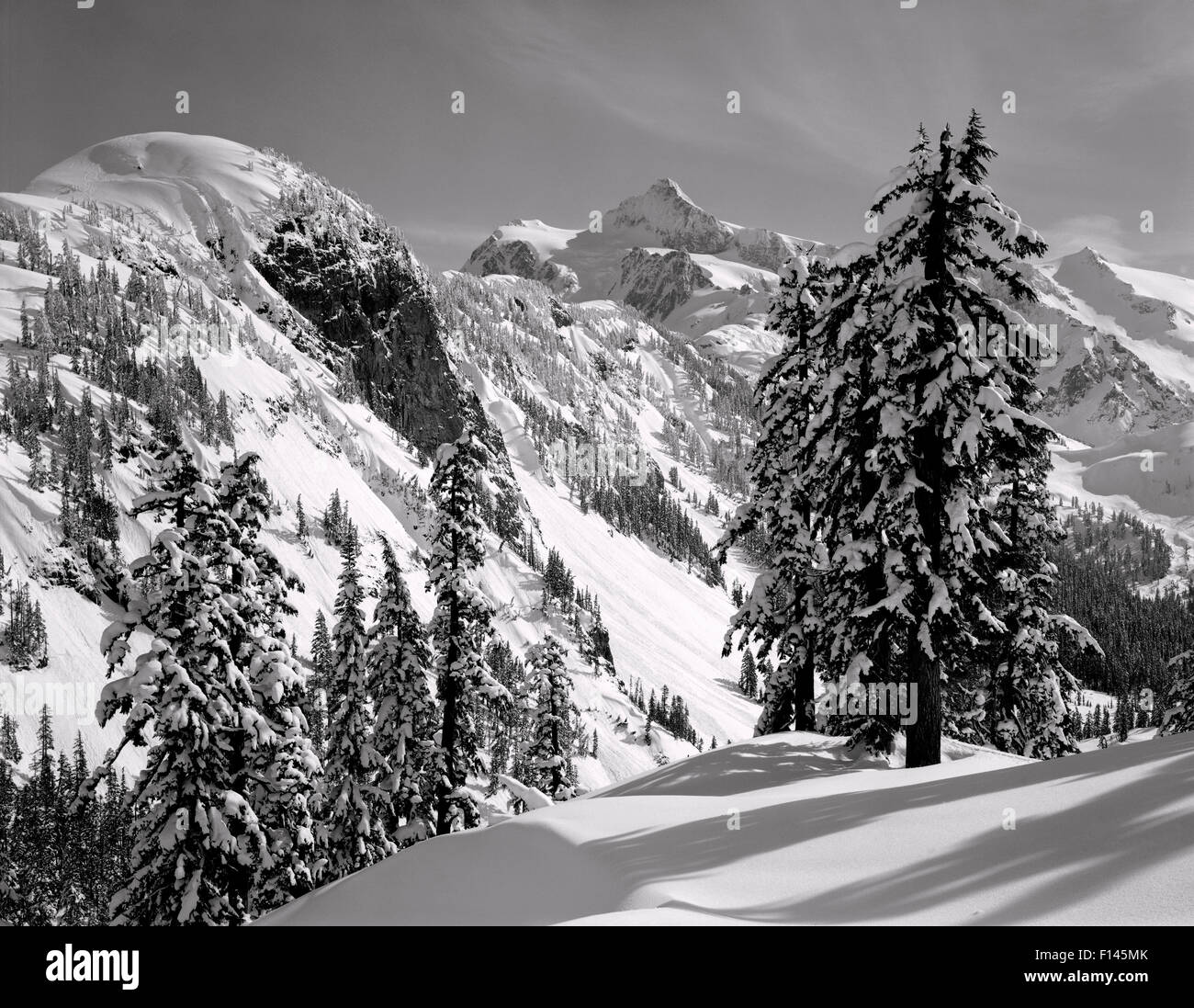 Fotografia in bianco e nero del monte Shuksan in inverno come si vede da Austin Pass, Heather Prati Recreation Area, Washington, Stati Uniti d'America. Foto Stock