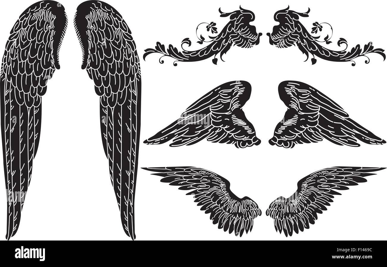 Quattro serie di dettagliate ali d'Angelo Illustrazione Vettoriale