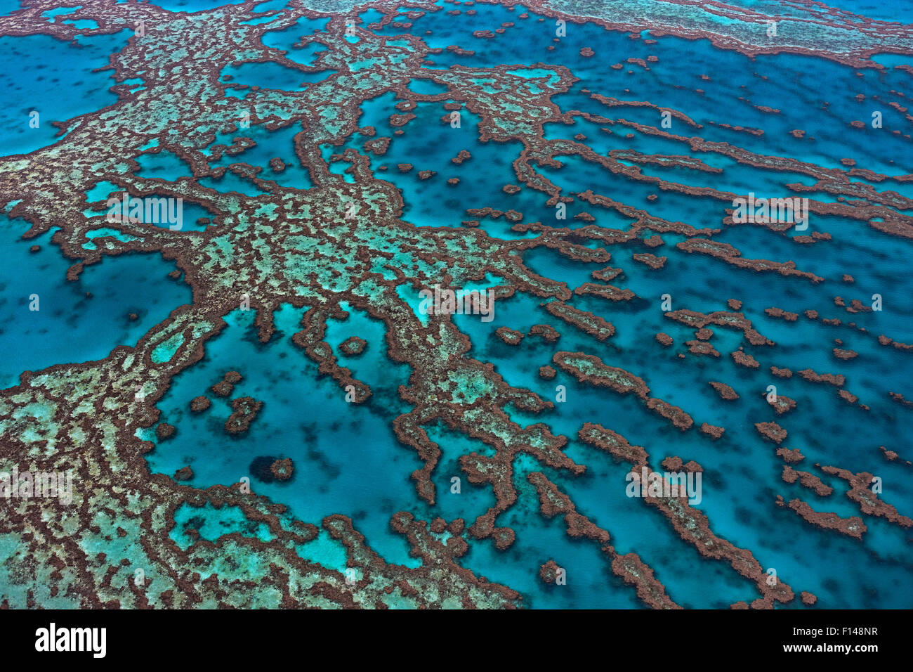 Vista aerea di Hardy Reef, della Grande Barriera Corallina, Queensland, Australia, dicembre 2010. Foto Stock