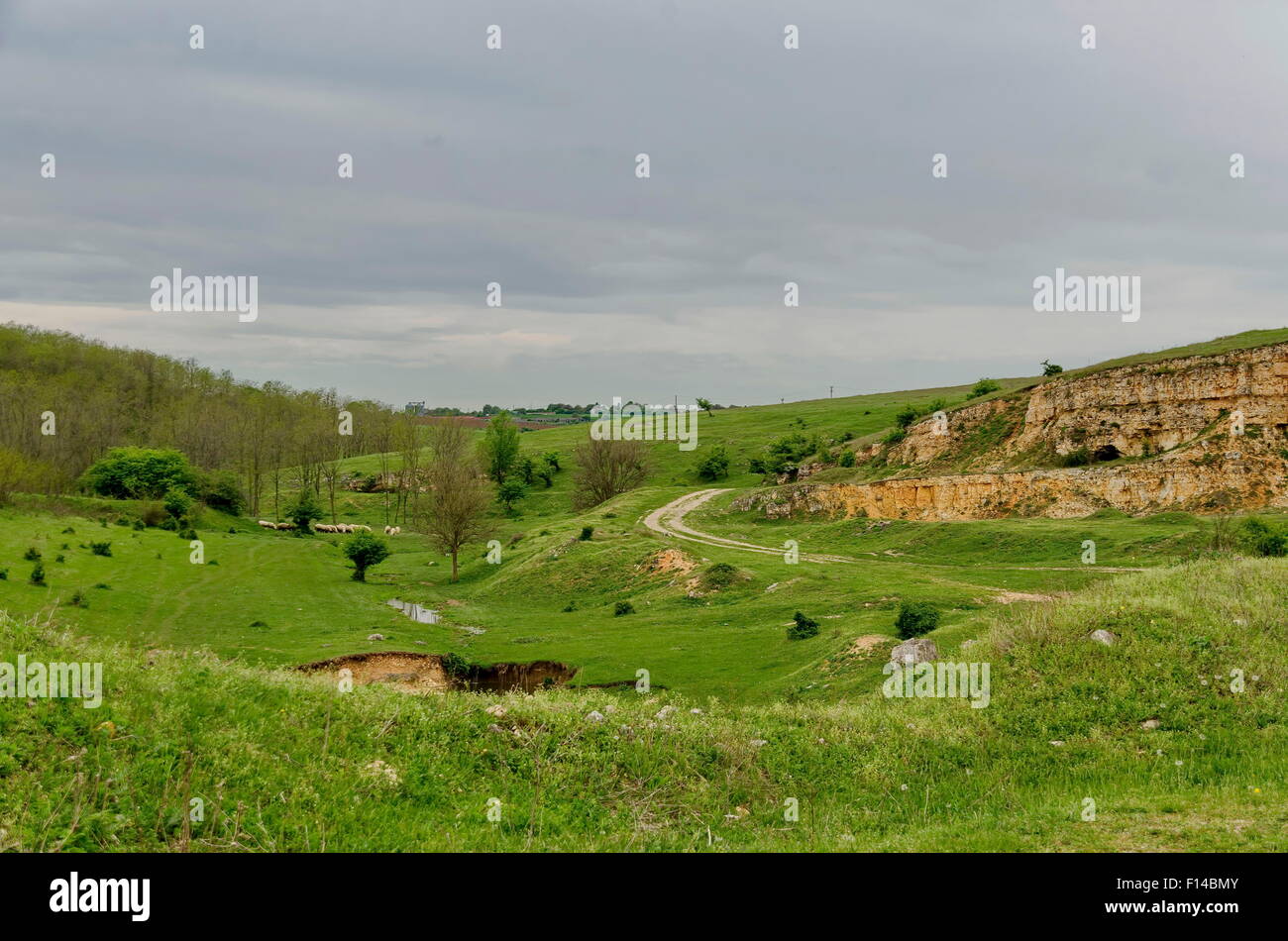 Strada sterrata di pietra-pit e allevamento di pecore a prato in città Zavet, Bulgaria Foto Stock