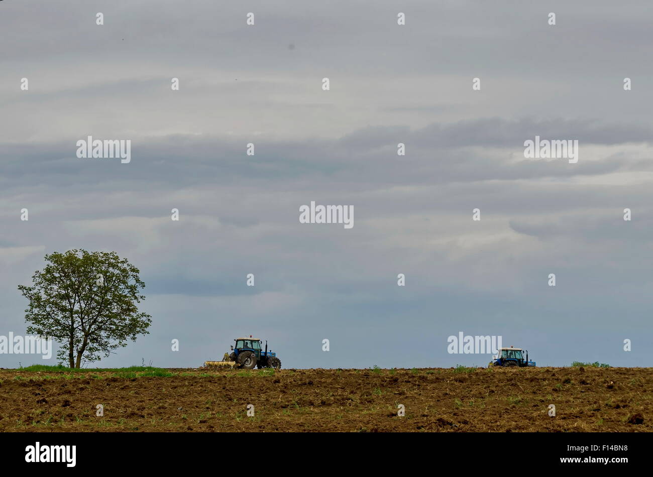 Due trattore con macchina agricola coltivare il campo Foto Stock