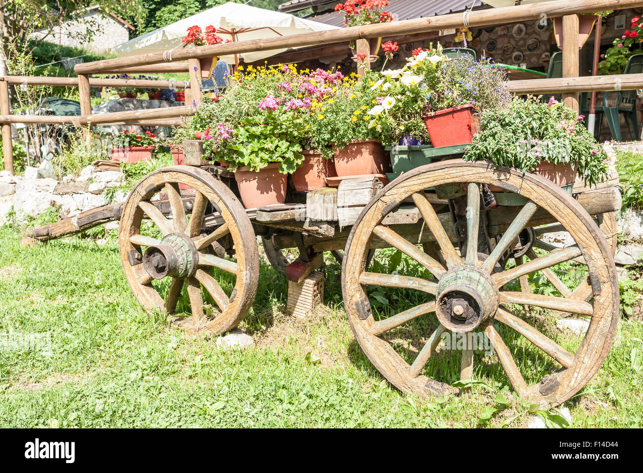Vecchio carrello di legno con vasi di fiori d'estate Foto Stock