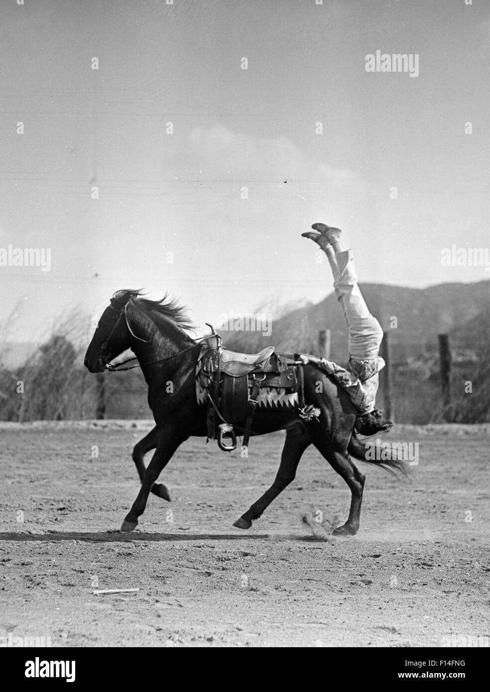 1930s trucco equestre RIDER eseguendo stunt appesi capovolti fuori dalla estremità posteriore del cavallo al galoppo Foto Stock