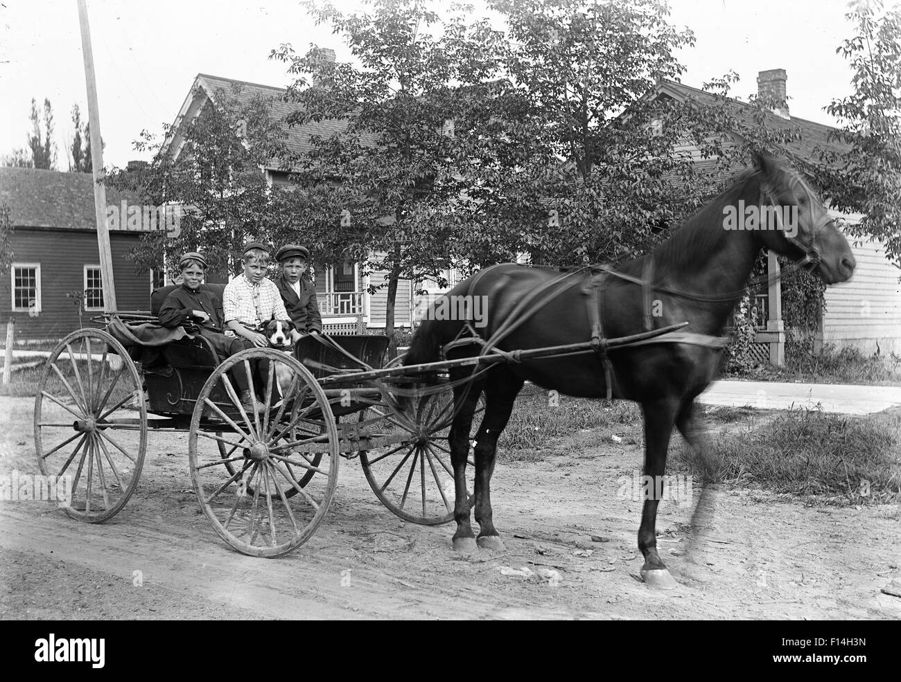 1890s giro del 20esimo secolo TRE RAGAZZI CERCANDO IN telecamera seduta di equitazione in carro trainato da cavalli con il cane Foto Stock